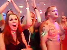 Cock Hungry Wives & Gf Turn Slutty At Cfnm Party