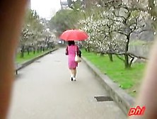 Lady With An Umbrella Was Skirt Sharked In Her Favorite Park