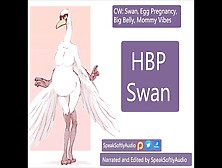 Hbp- You Meet A Enormous Round Mama Swan Milf And Rub Her Pregnant Belly F/a
