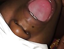 Ebony Catching Nut