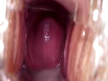 Inside Vagina