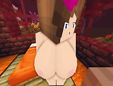 Porn In Minecraft | Sexmod