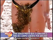 Bikini Girl Covered In Bees On Tv