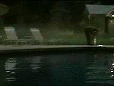 Bryce Dallas Howard In Lady In The Water (2006)