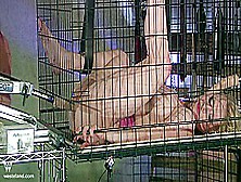 Sizzling Bdsm Action For Hot Blonde Bound In Cage And Double Ended With Robotic Dildos