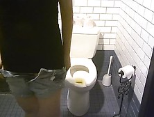 Hidden Cam Public Toilet