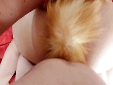 Anal Plug Tail Into First Time)