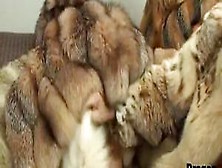 Three Girls In Fur