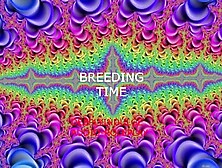 Kinky Breeding Slut Gets Impregenated And Creampied Deep / Daddy Dom Erotica