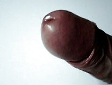 Sheunco - Close-Up Cumshot Hands-Free