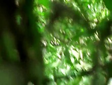 Voyeur Pissing In The Forest