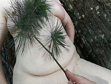 Tit Training And Whipping In The Woods
