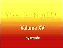 Wives Sucking Bbc Vol Xv - Compilation