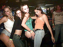 Crazy Bitches Show Their Butts At A Party In A Club