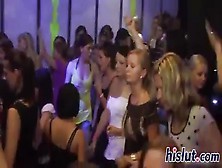 Sexy Party Orgy