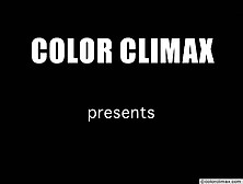 Color Climax - Party Pissing Vintage Porn Tv