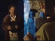 Ron Jeremy - Geile Orgie Im Schloss
