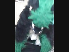 Foxy Fursuiter Rubs Out A Big Load