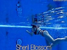 Dark Hair Huge Boobs Cutie Sheril Blossom Swims Naked And Goddess