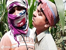 A Wild Indian Threesome - Hot Gay Action In A Corn Field!