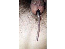 One Worm Crawls Inside My Cock