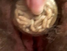 Wife, Maggot,  Clit And My Dick!