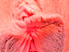 Wide Open Creamy Pussy