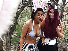On The Hunt For The Easter Bunny - Funmovies