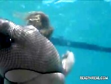 Babe In Fishnets Fucked Underwater For Cash