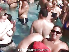 Wild Chicks Jiggle & Gets Naughty In A Spring Break Party By The Beach
