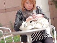 Candid Street Upskirt With Sexy Red Asian Typing An Sms