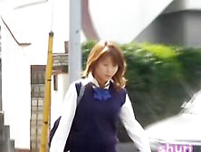 Schoolgirl In Japan Got Shuri Sharked On Her Way To School