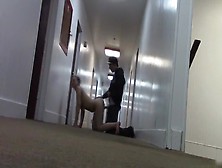 Fucking Lascivious And Nasty Girlfriend In The Hotel