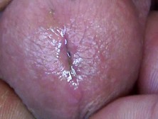 Worm With Heavy Cum Ending