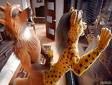 Furry Yiff Sex For City