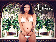 Aysha: Arabian Surprise