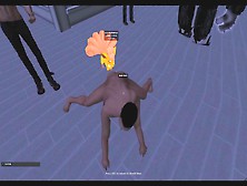The Second Life Experience