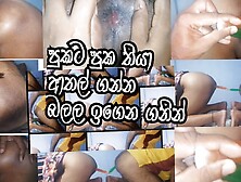 Sinhala Uncle And Aunty Insert Dildo Each Other Ass Dogy Ass Showing Closeup