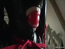 Rubber Kitty Ballgag And Drooling