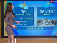 Yanet Garcia Mexican Weather Girl