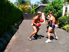 Boxing Hunks In Gay Groupsex Action