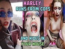Harley Quinn Runs From Cops Pov Fuck