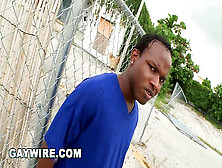 Gaywire - We're In A Miami Ghetto Hunting For Thug Backside,  And We Find It