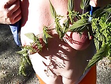 I Put Some Nettles In My Bra And Go For A Walk