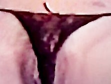Panty Pose American Cougar Spreading Cunt Solo Masturbation Porn