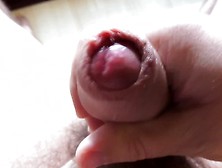 Solo Male Masturbation Close Up Cumshot Jerking Off Cock Milking
