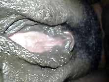 Black Bbw Pussy Close Up