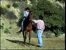 Young Beautiful Blonde Was Riding The Horse When She Has Met Handsome Cowboy