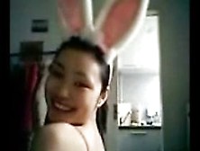 Korean Amateur Gf Rabbit Costume Pantyhose