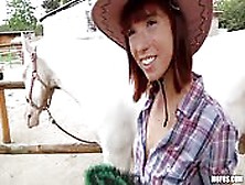 Hinreißendes Cowgirl Fickt Gegen Geld